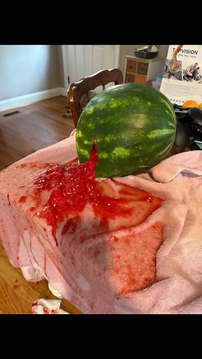 Watermelon exploded in the kitchen just 2 days after Russell bought it! The worst gagging event ever! Worse than a baby delivery with gushing water and mushy insides-and the smell 🤢🤮🫣 @#watermelon #rotten #mess @LukeBryan show your mama! LeClaire thisswas awful!