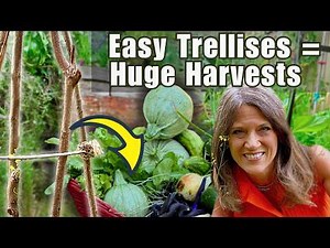 20 Easy Trellises for HUGE Harvests