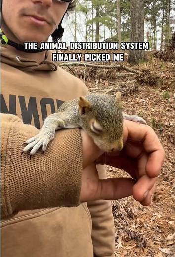 Take Care of This Adorable Baby Animal!