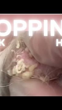 The gift that keeps on giving