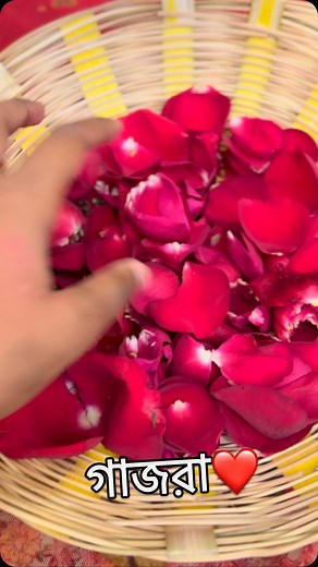 27 reactions | গাজরা❤️✨#reelitfeelit #reelsinstagram #reelsvideo #instadaily #followforfollowback | Annesha Dutta | Facebook