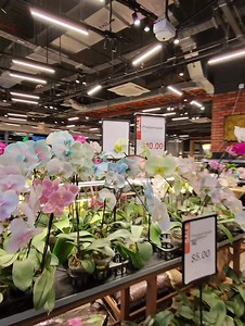 17K views · 281 reactions | The Garden Gurus on Reels | Facebook