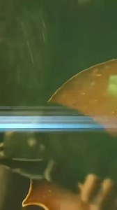 Apocalyptica has announced a 2025 North American tour to support their new album, “Apocalyptica Plays Metallica Vol. 2.” Guitar virtuoso Nita Strauss will join them as the opening act for all tour dates. Apocalyptica’s 2025 Tour Dates 02/06 – Washington, D.C. @ Warner Theatre * 02/07 – Philadelphia, PA @ The Fillmore Philadelphia* 02/08 – Boston, MA @ Orpheum Theatre * 02/11 – New York, NY @ Brooklyn Paramount * 02/12 – Montreal, QC @ MTELUS * 02/13 – Toronto, ON @ Queen Elizabeth Theatre* 02/14