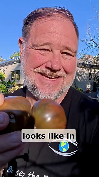 What Does This Tomato Look Like?