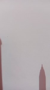 Cycas does not have... | Filo