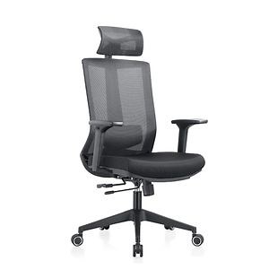 [Hot Item] High Back Mesh Ergolux Office BIFMA Master Chair with Aluminum Base Soft Pad Chair