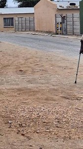 11K views · 163 reactions | Dr Andrew giving helping hand | drandrew88 | Facebook