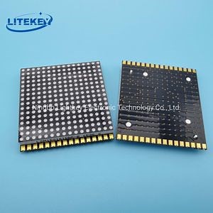 [Hot Item] Expert Manufacturer of 2.6 Inch 16X16 Lift DOT Matrix Display with RoHS