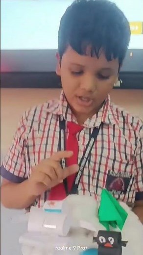 explain about tundra region