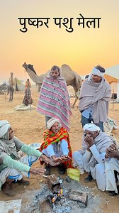 4.4M views · 10K reactions | पुष्कर पशु मेला राजस्थान का गौरव खो रहा है अपनी पहचान।कम पड़ रही है अब मेले में ऊँटों की संख्या | Thar Desert Photography | Facebook