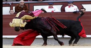 Terribles cogidas de toros