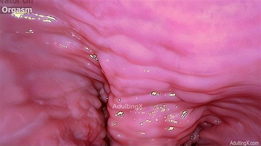 Orgasm from Inside my Vagina, Camera in Vagina, Cervix POV, Vibrator on Clit