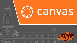 Canvas: Studio Analytics and Insights