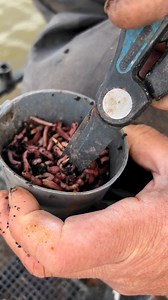 267K views · 779 reactions | VLIJMSCHERPE WORMENSCHAAR! ⚔️ | Preston Innovations | Facebook