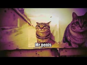 •[ГИМН Mr Penis]•