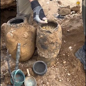 Amazing find | Last discovery