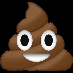 Teaching the CRAAP Test