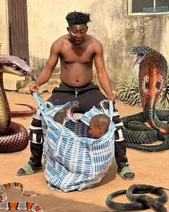 Mysterious python😱 | Vikesh