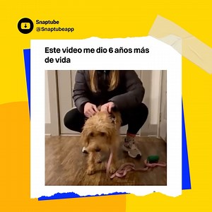 39K views · 386 reactions | Weee  #snaptube #snaptubeapp #meme #foryou | Snaptube | Facebook