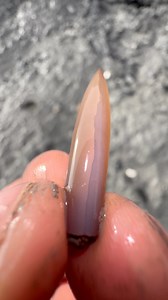 30K views · 316 reactions | We came across a fresh mud LANDSLIDE! ️...