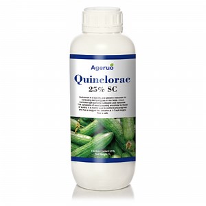 [Hot Item] Quinclorac 25% Sc Selective Herbicide for Preventing Barnyardgrass