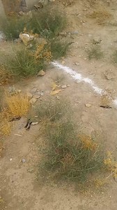 2.6K views · 15 reactions | Amazon Engineering on Reels | Facebook