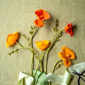 Crepe Paper California Poppy Video Workshop