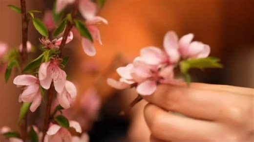 Huizhou's traditional dwellings welcome spring