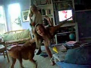 bah ha emilys dog humping her.