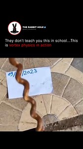 They don’t teach you this in school...This is vortex physics in action | The Rabbit Hole