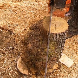 2.2K views · 65 reactions | Cutting Burls and Logs | Sprague Woodturning | Facebook
