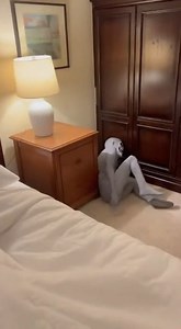 276K views · 213 reactions | a scary prank on grandma #christmasschedule #businesshours #storehours #christianity #religion #extendedhours #sportsfan #trading #sports #footballbetting | SR Digital TV | Facebook