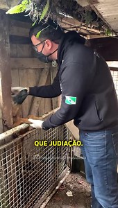 4.4M views · 583K reactions | Pedido por socorro! Cão implorou para...
