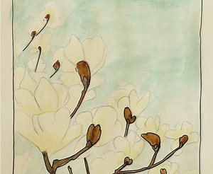 Magnolia