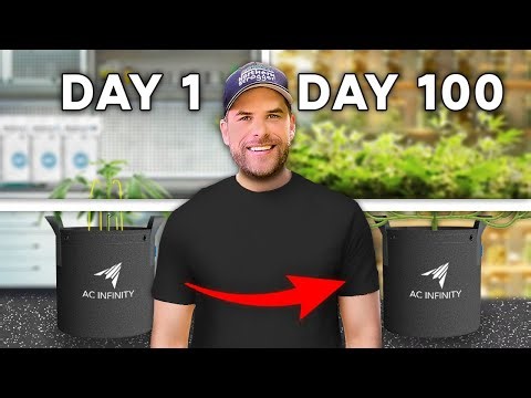 How to Scrog for Massive Yields | Scrog School Episode 9