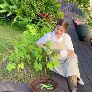 Small Laude on Reels