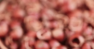 Large Amount Hazelnut Shells Small Amount: vídeo stock (100% livre de direitos) 1101499139 | Shutterstock