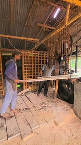 1.6K views · 20 reactions | homemade new pigeon loft #woodworking #pigeonlover #pigeonlove #fancypigeon #reels #tanding #racingpigeons | Suborna fancy pigeon loft | Facebook