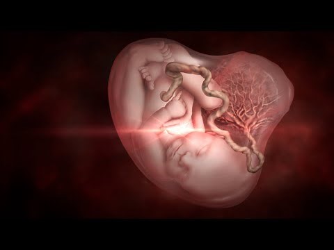 Understanding Stillbirth: A Patient Resource