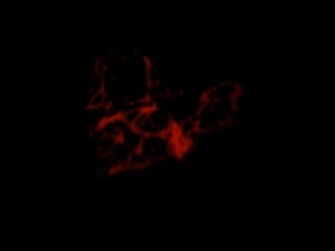 Blood Splatter Explode Green Screen & Black Background