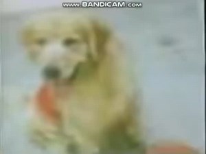 The Book Of Pooh Fun With Make Believe