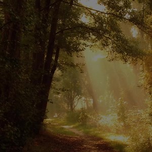 Spiritual maturity comes from knowing Christ's fullness. #jesus #christ #christianity #peace #scripture #believe #grace #truth #worship #blessed | Christ Now