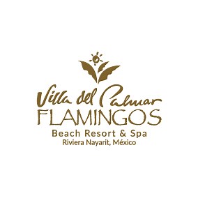 Nuevo Vallarta Live Webcam | Villa del Palmar Flamingos