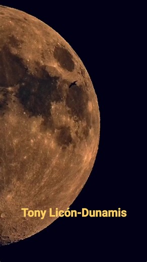 Sígueme en 👉 Tony Licón Mx - Escritor Dunamis ✍ La filosofía de Emerson es fantástica y, el destino humano, trágico, “porque somos, irreparablemente, individuos, cortados por el tiempo y por el espacio. Y nada hay más lisonjero que una fe que declara que todo hombre es todos los hombres y que no hay nadie que no sea el universo”. #caracter #fortaleza #objetivos #destinos #acciones #love #Dunamis #tbt #escritor #empresario | Tony Licón Mx - Estrategia mental