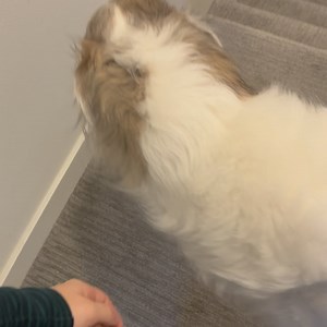 5.6K views | Ruby Setnik on Reels | Facebook