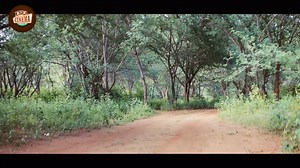 211K views · 9.1K reactions | Dhanush And Priyamani Telugu Old Superhit Movie 09 | Telugu Videos | A2Z Cinema | A2Z Cinema | Facebook