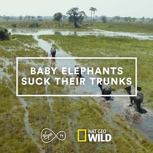 Virgin Media on Reels