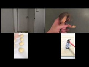 Up To Faster Quadparison To HowToBasic V13