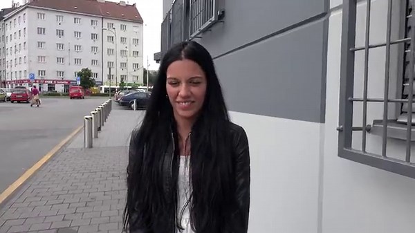 Czech Public Agent
