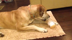 438 reactions · 56 shares | Are you up to the challenge? Let's show...